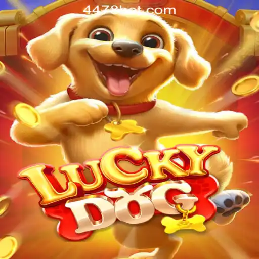 Exploring LuckyDog: An Engaging Experience with 448bet.com Official Slots Brasil #1